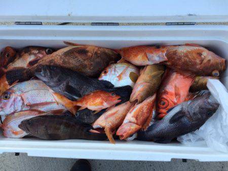 第二龍勢丸 釣果