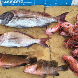 末広丸(熊本) 釣果