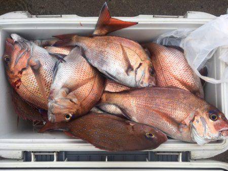 第二八坂丸 釣果