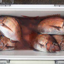 第二八坂丸 釣果