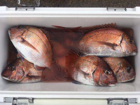 第二八坂丸 釣果