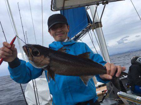 ＴＡＲＯＭＡＲＵ 釣果