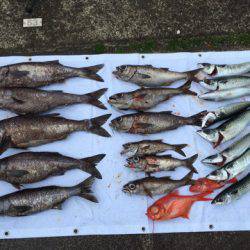 ＴＡＲＯＭＡＲＵ 釣果