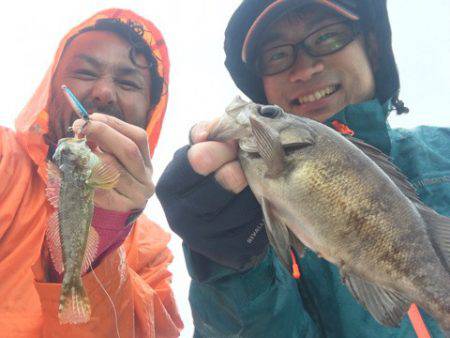 うさぎ丸 釣果