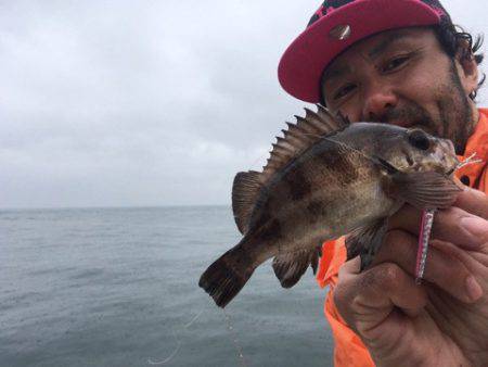 うさぎ丸 釣果