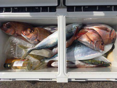 第二八坂丸 釣果