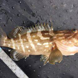 第二龍勢丸 釣果