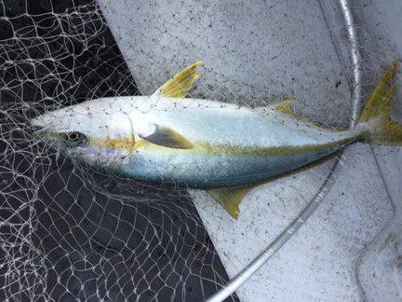 第二龍勢丸 釣果