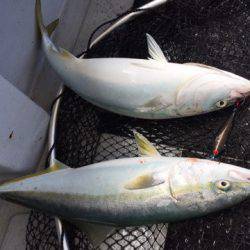 第二龍勢丸 釣果