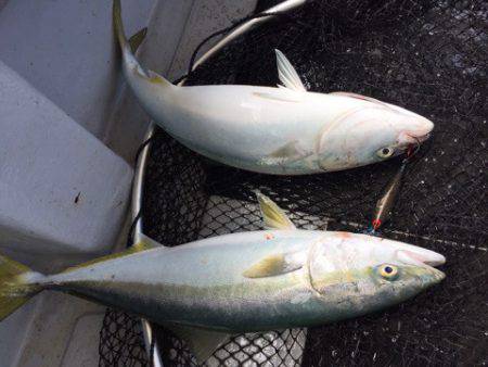 第二龍勢丸 釣果