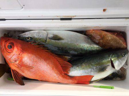 第二龍勢丸 釣果