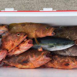 第二龍勢丸 釣果