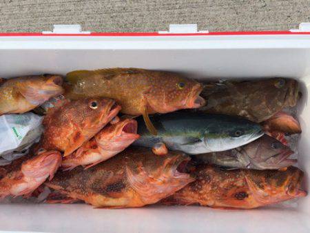 第二龍勢丸 釣果