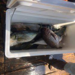 釣り堀水宝 釣果