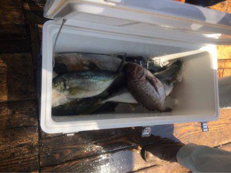 釣り堀水宝 釣果