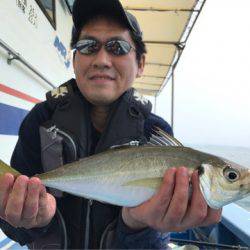 ヤザワ渡船 釣果