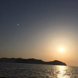 渡船屋たにぐち 釣果