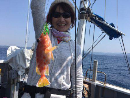 ＴＡＲＯＭＡＲＵ 釣果