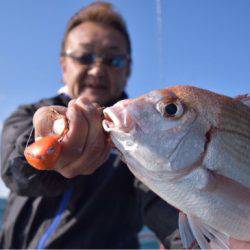 渡船屋たにぐち 釣果