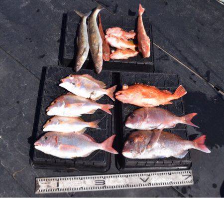 渡船屋たにぐち 釣果