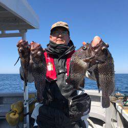 シーランチ 釣果