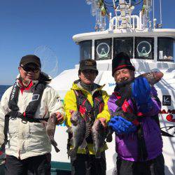 シーランチ 釣果