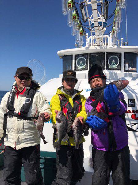 シーランチ 釣果