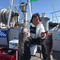 シーランチ 釣果