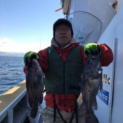 シーランチ 釣果