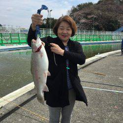 としまえんフィッシングエリア 釣果