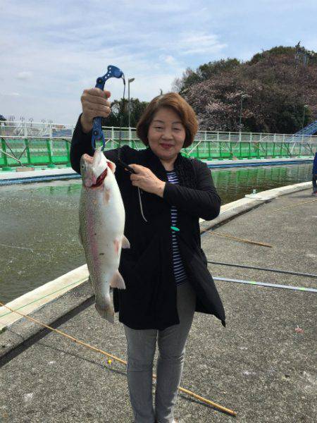 としまえんフィッシングエリア 釣果