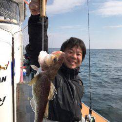 シーランチ 釣果