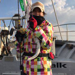 シーランチ 釣果