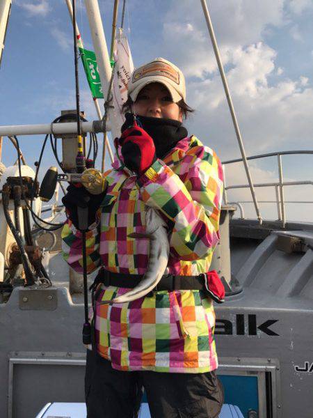 シーランチ 釣果