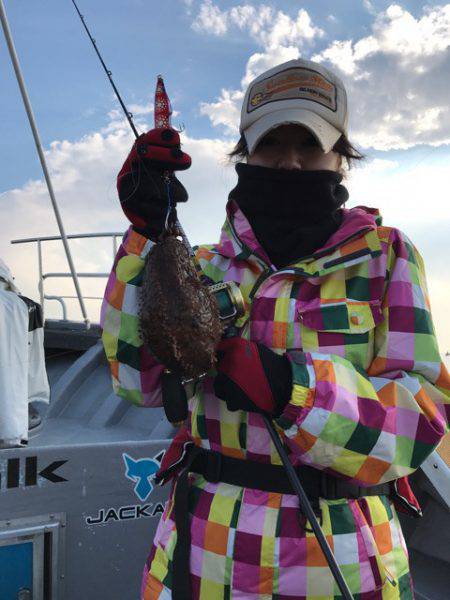 シーランチ 釣果