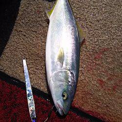 光生丸 釣果