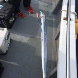 ＴＡＲＯＭＡＲＵ 釣果