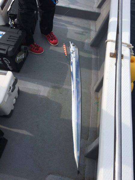 ＴＡＲＯＭＡＲＵ 釣果