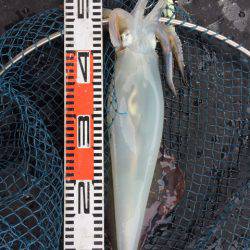 第二龍勢丸 釣果