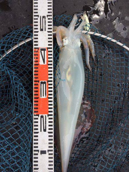 第二龍勢丸 釣果