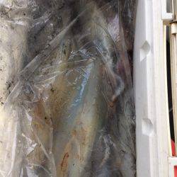 第二龍勢丸 釣果