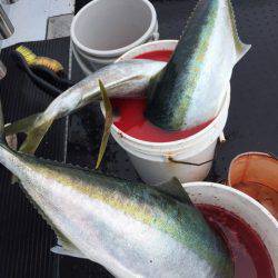 第二龍勢丸 釣果