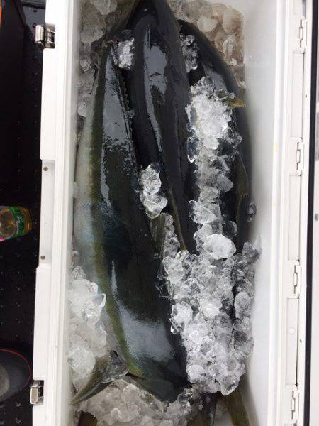 第二龍勢丸 釣果