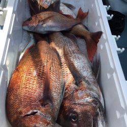 第二八坂丸 釣果