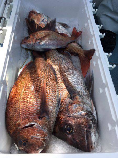 第二八坂丸 釣果