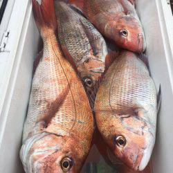 第二八坂丸 釣果