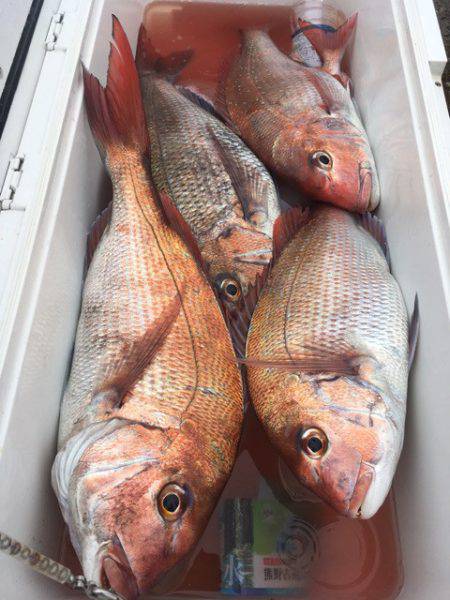 第二八坂丸 釣果