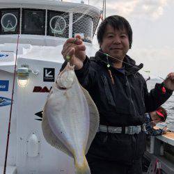 シーランチ 釣果