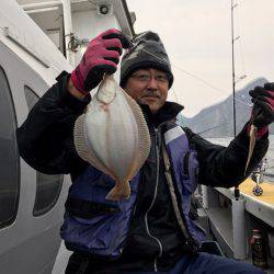 シーランチ 釣果