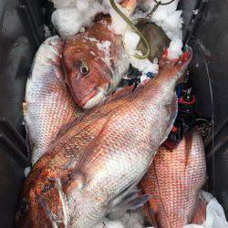 第二八坂丸 釣果